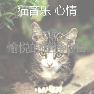 微妙的猫心情