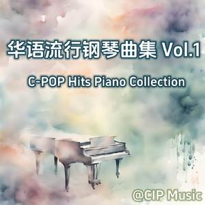 你不属于我 (钢琴版)