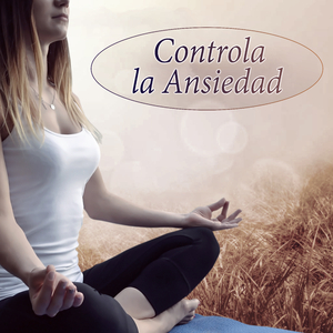 Espìritu y Mente Jardín Zen