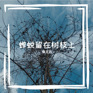 蝉蜕留在树枝上