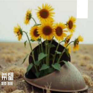 Fields of Ashes 伴奏