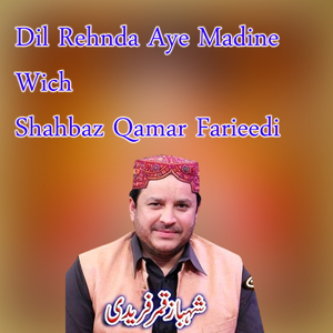 Dil Rehnda Aye Madine Wich