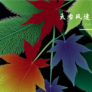 天台风速
