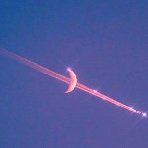 我心中有些事不能对你说 （翻自 弹壳）