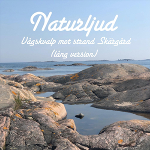 Vågskvalp mot strand Skärgård (lång version)