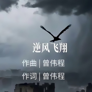 逆风飞翔