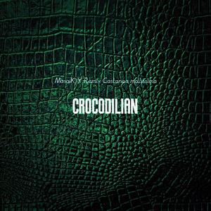 鳄鱼皮包（CnYsL_MsaiKY Remix）