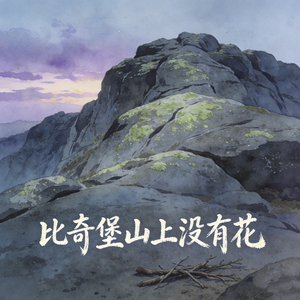 比奇堡山上没有花