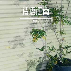 妹妹走过我身边