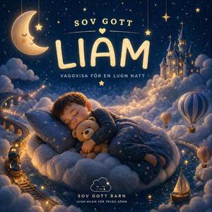 Liam somnar (Godnattmusik)