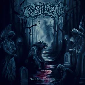 In The Woods At Night