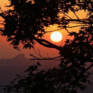 漂向北方（live）Guguz cover