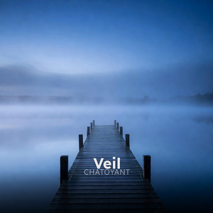 Veil