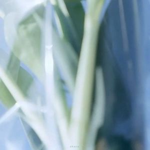 我的草房屋 伴奏