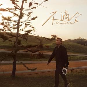 不适合 (feat. Thomas Goh 吴维福)