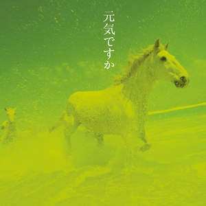 アザミ嬢のララバイ