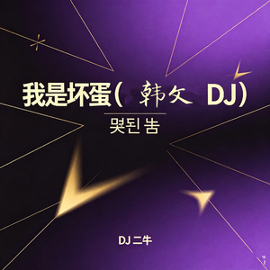 我是坏蛋(韩文DJ)