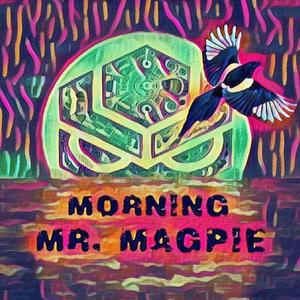 Morning Mr. Magpie