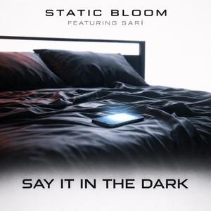Say It In The Dark (feat. Sarì)