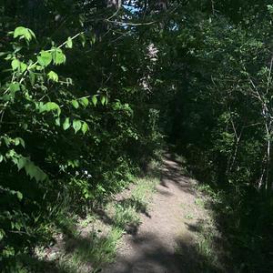 foreverlostinmyownmind