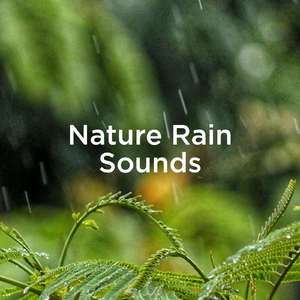 ASMR Rain Sounds