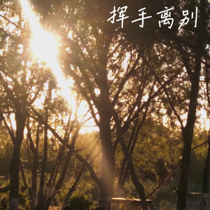 挥手离别 何依宸wave