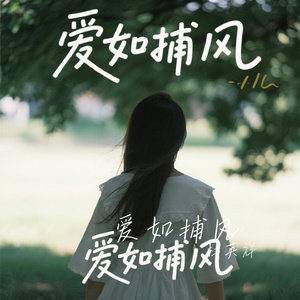 爱如捕风