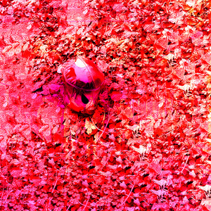 on Vetus Marble, pt. 2 (Live)