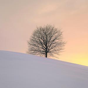 sayonara (if you must go)