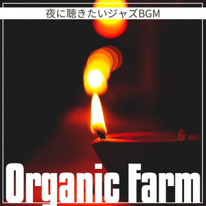 A Sunset in the City