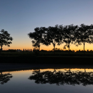 总有一天你会出现在我身边