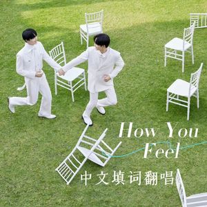 How You Feel（中文填词）
