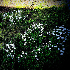 懐かしくてやさしい追憶の雰囲気