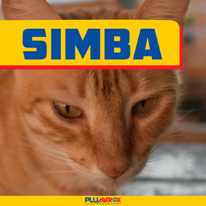 Simba