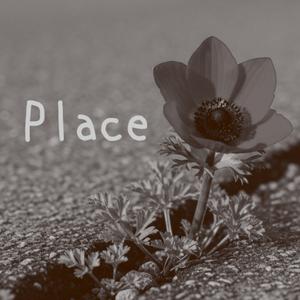 Place