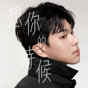 想你的時候