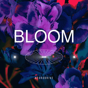 Bloom