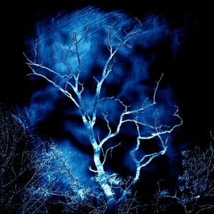 Wyrzucisz Z Siebie Strach