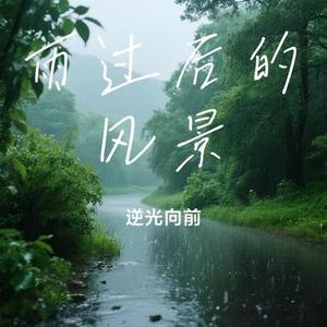 雨过后的风景 (Cover Dizzy Dizzo)