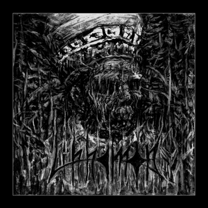 Decimation