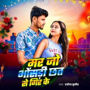Mar Jo Bhosadi Chhat Se Gir Ke