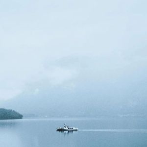 为什么要想起你