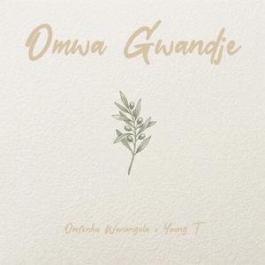 Omwa Gwandje (feat. Young T Wokongha)
