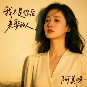 我不是你后来娶的人 (粤语版)