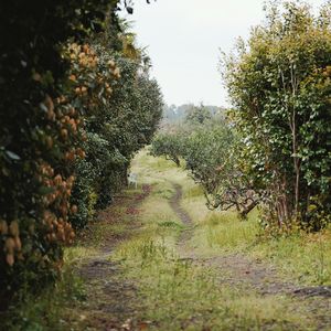 (免费情绪伴奏)Rod Wave X YxngAmiri Type Beat "in time"