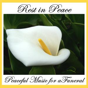 The Last Rose of Summer