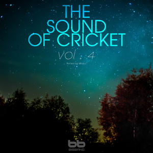 Cricket Sound at Sungbokdong Mountain