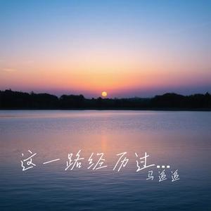 这一路经历过什么 (Cover 王佳音)