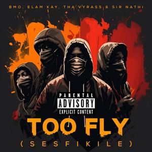 Too fly (feat. Tha Vyrass, Elam Kayz, Sir Nathi & Buriman bmo)