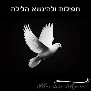 תפילות ולהינשא הלילה - Tefilot and Lehinase Halaila